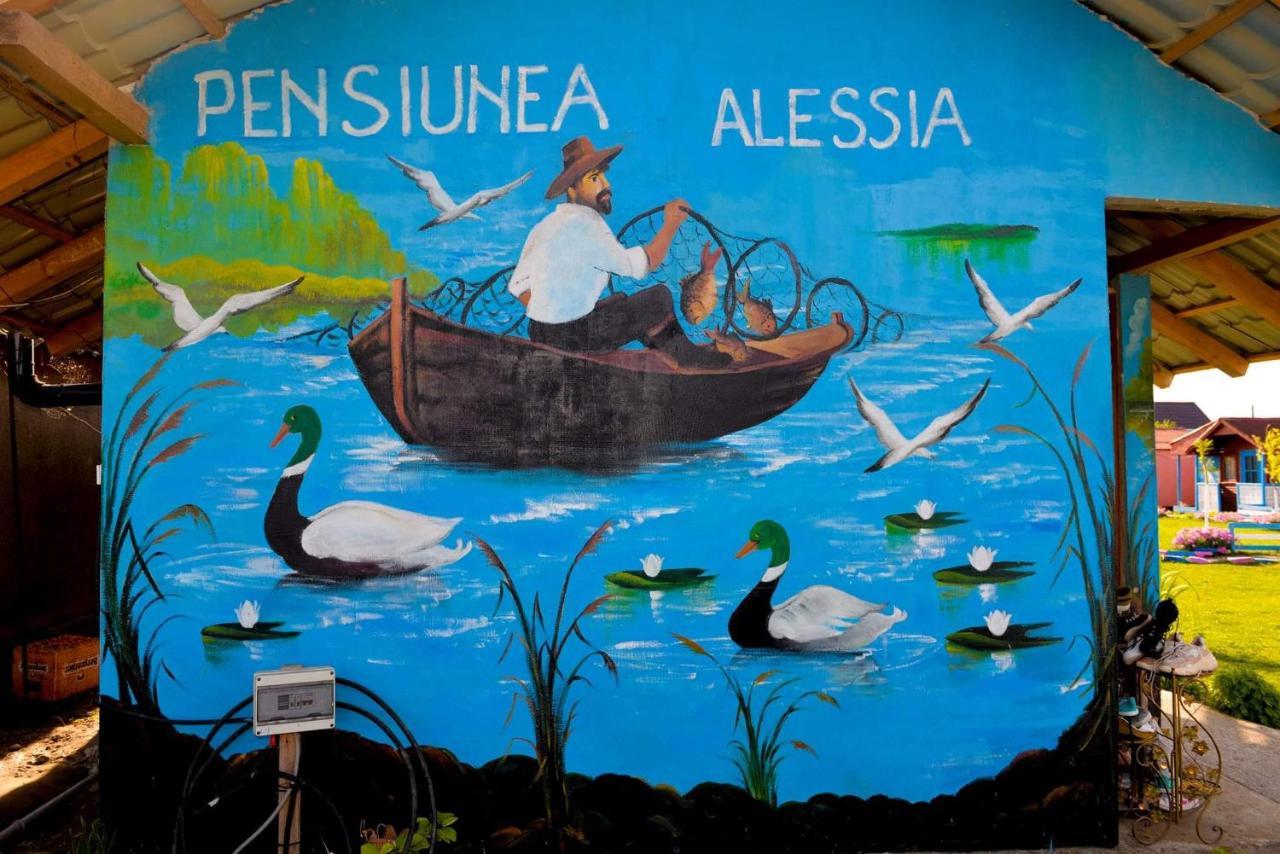 Pensiunea Alessia 무리기올 외부 사진
